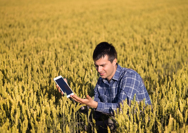 Agricultor con tableta en campo
 - Foto, Imagen