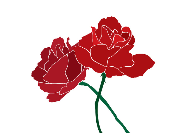 Two red roses - Vettoriali, immagini