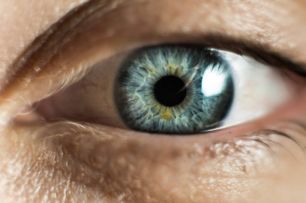 Menselijk oog van de vrouwelijke macro. Close-up shot van vrouwelijke grijs - blauwe kleur oog met dag - Foto, afbeelding