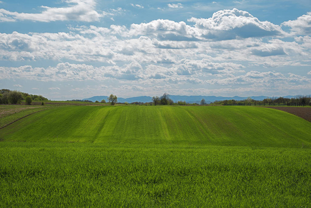 landschaftlich reizvolle Aussicht auf ein Ackerland mit lebendigem bewölkten Himmel - Foto, Bild