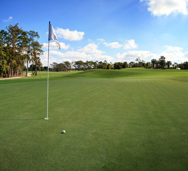 Rehevä vihreä ruoho golfkentällä
 - Valokuva, kuva