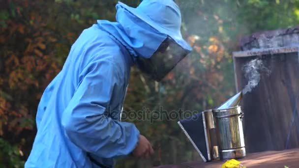 Včelaře kontroluje včelí úl před čerpací med z pláství. - Záběry, video