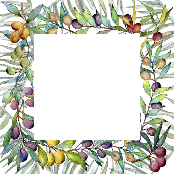 Olive tree frame in a watercolor style. - Foto, imagen