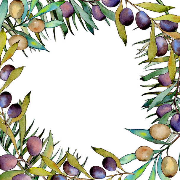 Olivenbaumrahmen im Aquarell-Stil. - Foto, Bild
