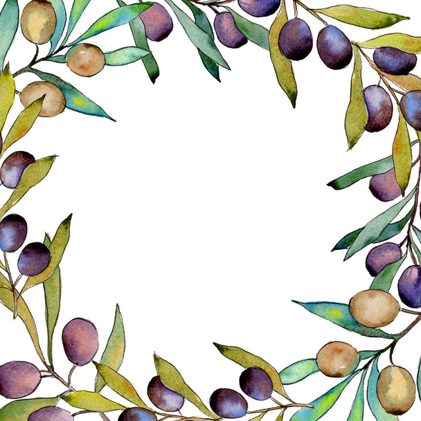Olive tree frame in a watercolor style. - Foto, Imagem