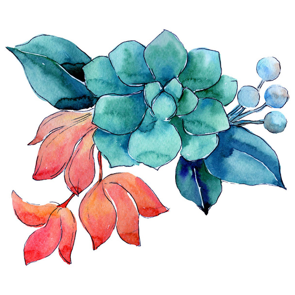 Tropická květina ve stylu akvarelu, samostatný. - Fotografie, Obrázek