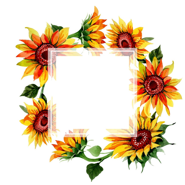 Wildflower sunflower flower frame in a watercolor style. - Photo, Image
