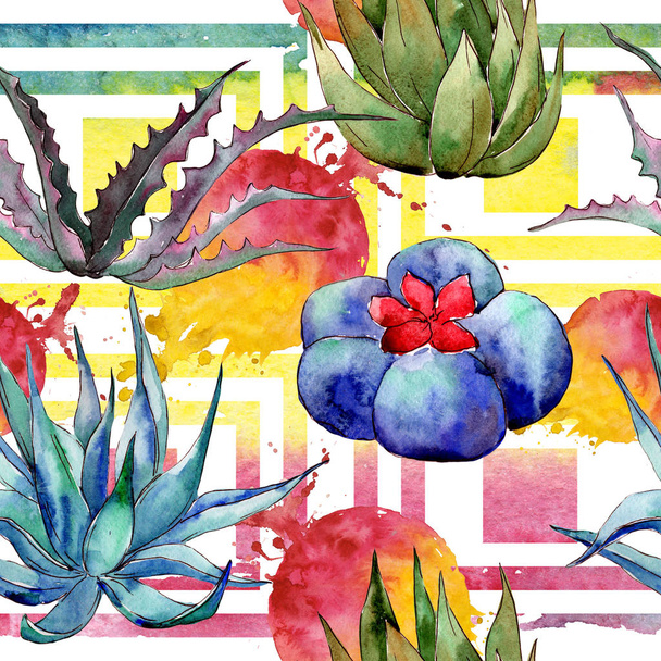 Wildflower cactus  pattern in a watercolor style. - 写真・画像