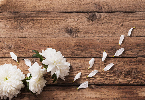 chryzantéma na staré dřevěné pozadí - Fotografie, Obrázek