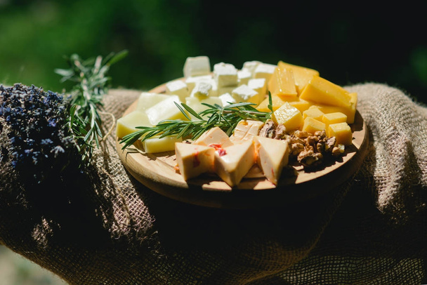 Still life of cheese with nuts, herbs and lavender bunch - Foto, immagini