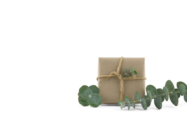 Brown gift box decorated with baby eucalyptus leaves isolated on white background with copy space - Photo, Image