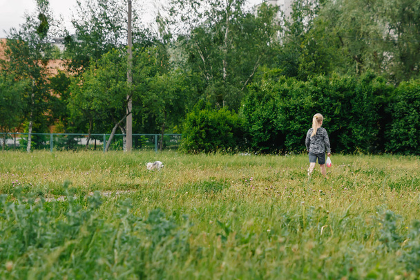 Schöne junge Frau spielt im Herbst mit ihrem Hund im Park. - Foto, Bild