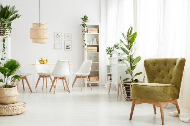 Green armchair in dining room - Foto, Bild