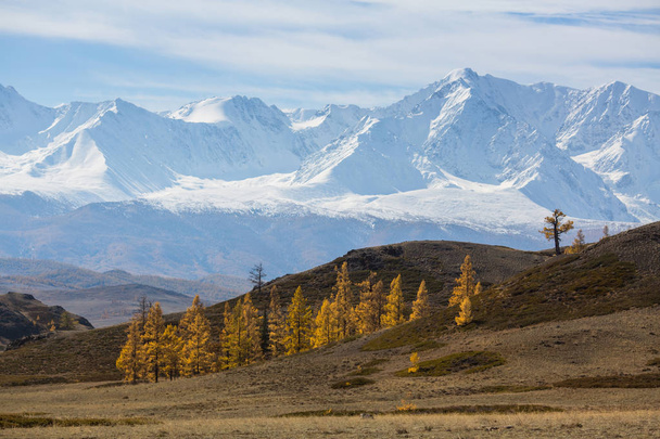 Altay Dağları Chuyskiy Ridge'te manzara. Altay Cumhuriyeti, Rusya Federasyonu. - Fotoğraf, Görsel