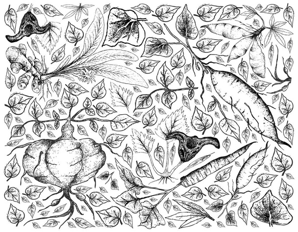 Ručně kreslenou kořenové a Hlíznaté zeleniny zázemí - Vektor, obrázek