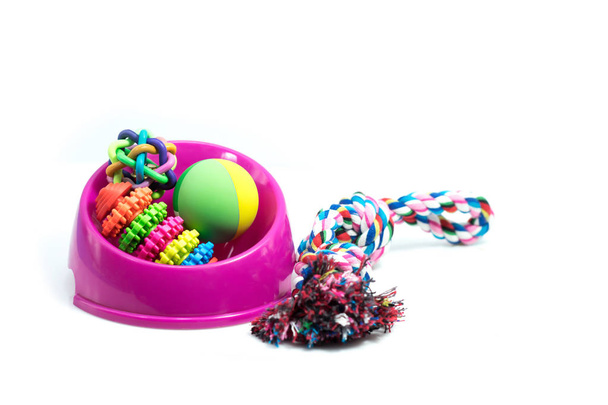 Akcesoria dla zwierząt zestaw o miskę, liny gumowe zabawki dla psa lub kota  - Zdjęcie, obraz