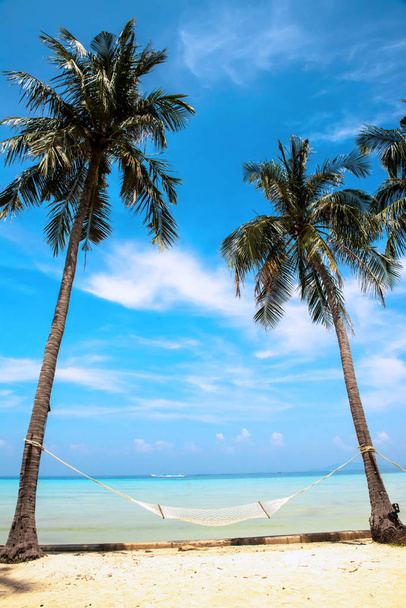 パームと熱帯のビーチ ピピ島タイ - 写真・画像
