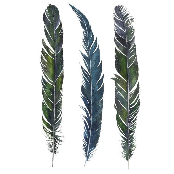 watercolor drawing feathers - Fotografie, Obrázek