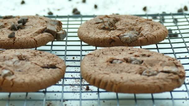 deliciosas galletas caseras con gotas de chocolate en rejilla metálica
  - Imágenes, Vídeo