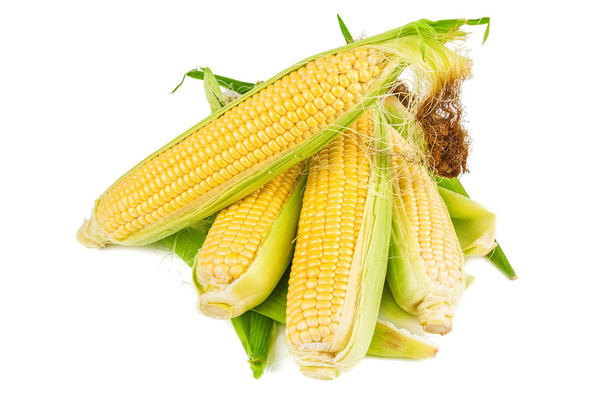 heap of corn cobs - Photo, Image
