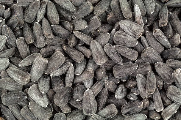 ripe sunflower seeds texture - Foto, imagen