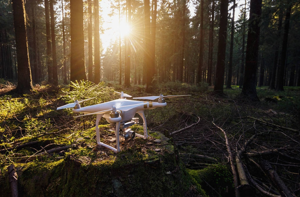 Dron Quadrocopter en un tronco de árbol al atardecer
 - Foto, Imagen