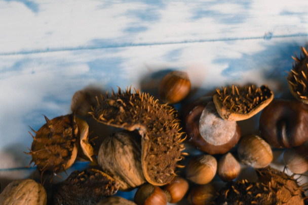 Nuts and chestnuts on a wooden white background. - Φωτογραφία, εικόνα