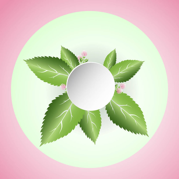 fresh green leaves and pink flowers. Spring composition with spa - Vector, Image