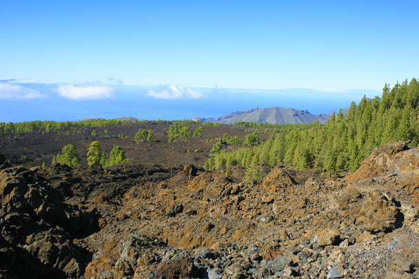 Montagna Teide a Tenerife. Isole Canarie
 - Foto, immagini