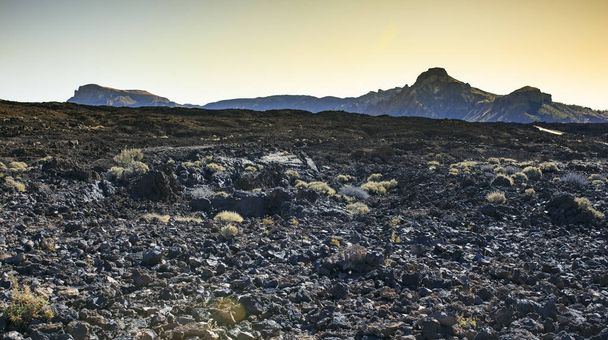 Στο βουνό Teide στη Τενερίφη. Κανάριοι Νήσοι - Φωτογραφία, εικόνα