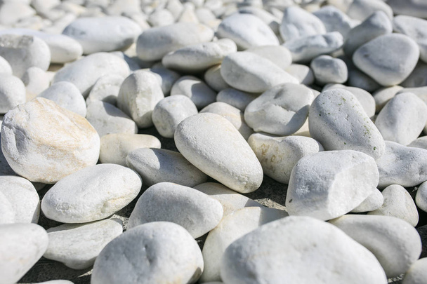 Grote witte stenen in een tuin - Foto, afbeelding