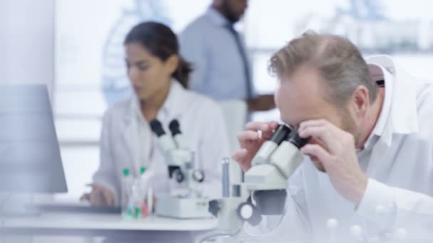 4K Medical research team in the lab, working on computer, analyzing samples and looking into the microscope - Footage, Video