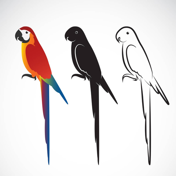Vektor eines Papageien (Aras) auf weißem Hintergrund. Wildtier.  - Vektor, Bild