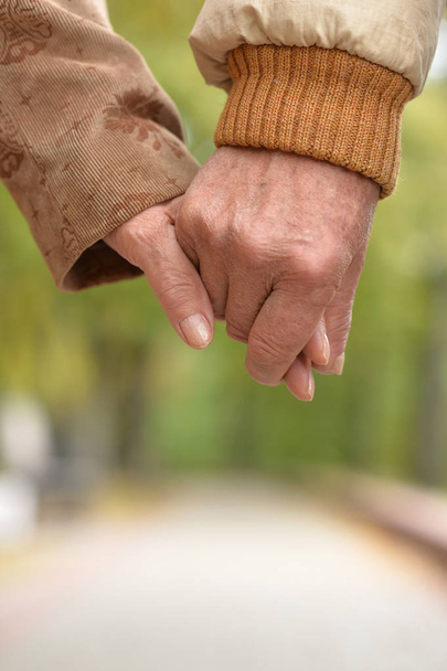 Elderly couple holding hands in autumn park - Photo, Image