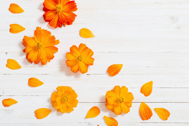 orange summer flowers on white wooden background - Photo, Image