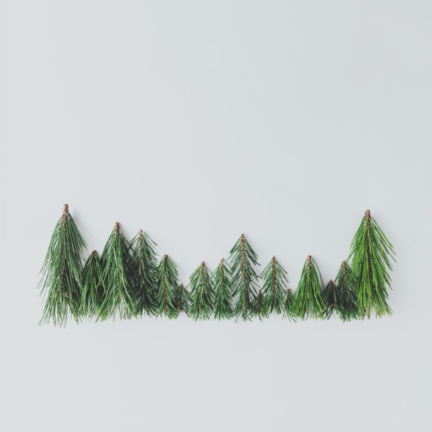 Evergreen pine forest treeline made of tree branches, Minimal winter nature concept - Photo, Image