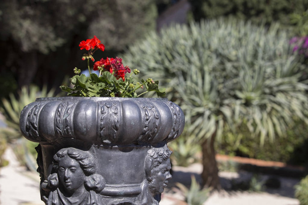 beautiful large forged vase with red flowers in the park on a bl - Photo, Image
