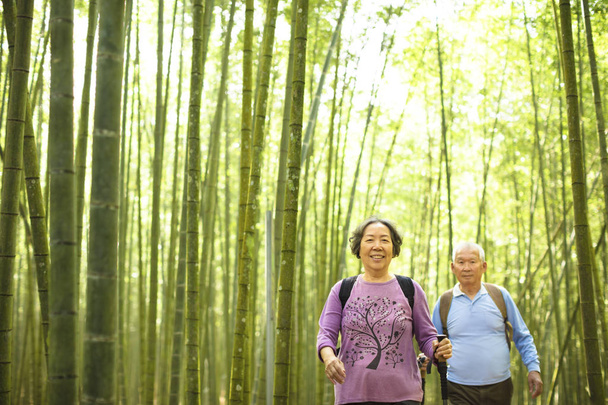 šťastný pár Senior Turistika v zelené bambusové lesy - Fotografie, Obrázek