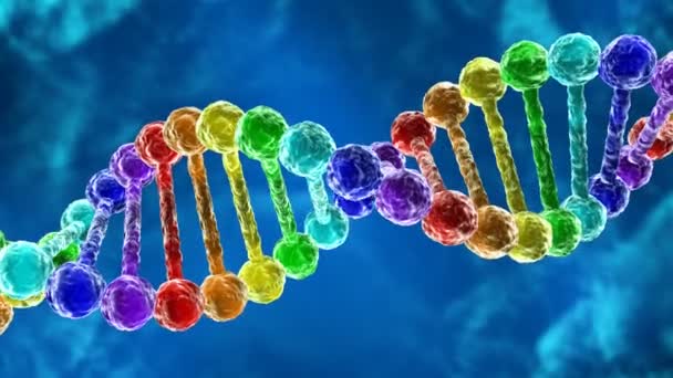 Regenboog Dna - deoxyribonucleic acid - Video