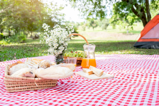 Healthy food and accessories outdoor summer or spring picnic, Pi - Фото, зображення