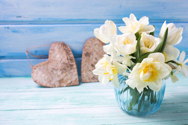 Bright white daffodils and tulips   - Fotoğraf, Görsel