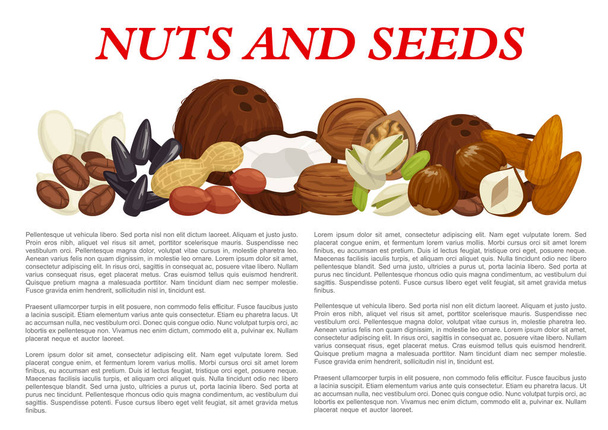 Vektor ořechy a plody semena výživy plakát - Vektor, obrázek