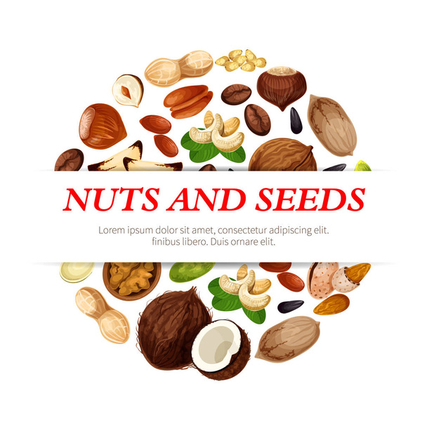 Vektor plakát ovoce semena, fazole a ořechy - Vektor, obrázek
