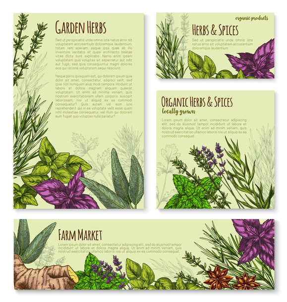 Bahçe bitki ve baharat, banner şablon baharat - Vektör, Görsel