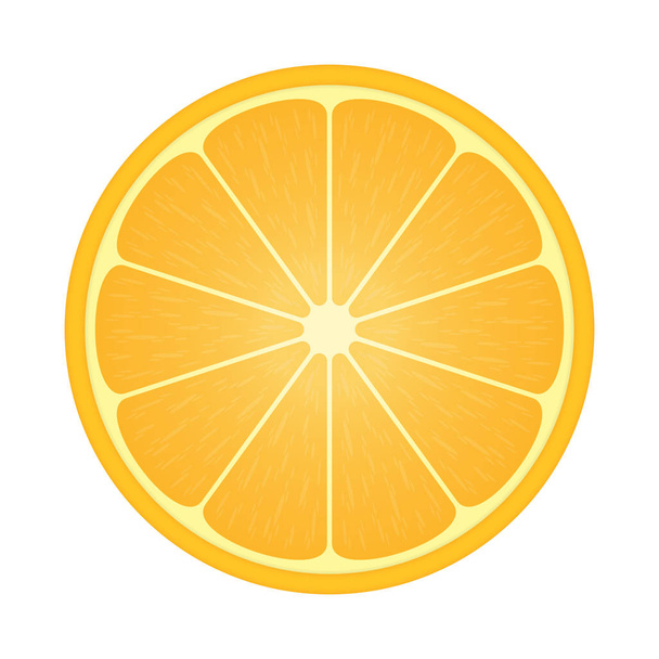 Orange citrus fruit. - Vector, Image