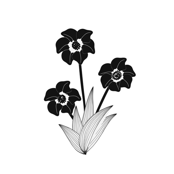 Illustration of wild black flowers bouquet - Vetor, Imagem