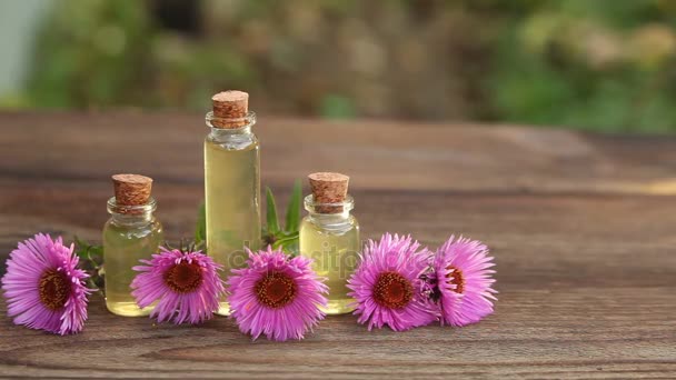 aster essential oil in  beautiful bottle on table - Footage, Video
