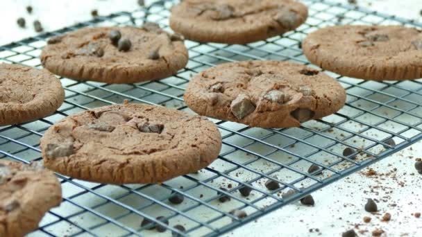 νόστιμα σπιτικά μπισκότα με σταγόνες σοκολάτας στο μεταλλικό πλέγμα  - Πλάνα, βίντεο