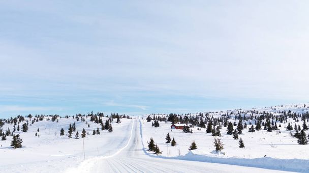 Winter Road in Norway - Foto, Imagen