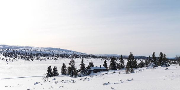 Cabin Area in Norway - Фото, изображение